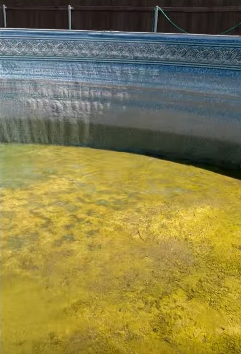 Worn pool surface transformed with a full remodel — before