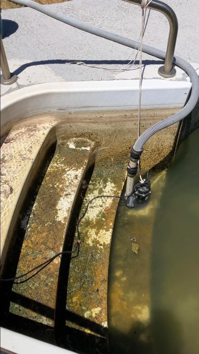 Green algae-filled pool recovered to clear blue water — before