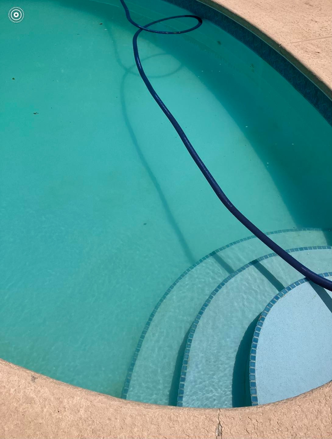 Neglected pool drained, cleaned, and refilled — after